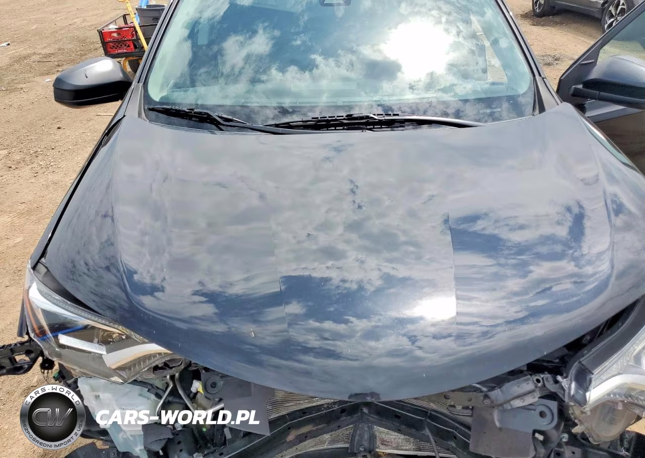 2017 Toyota Rav4 Le VIN:2T3BFREVXHW547235 - 12