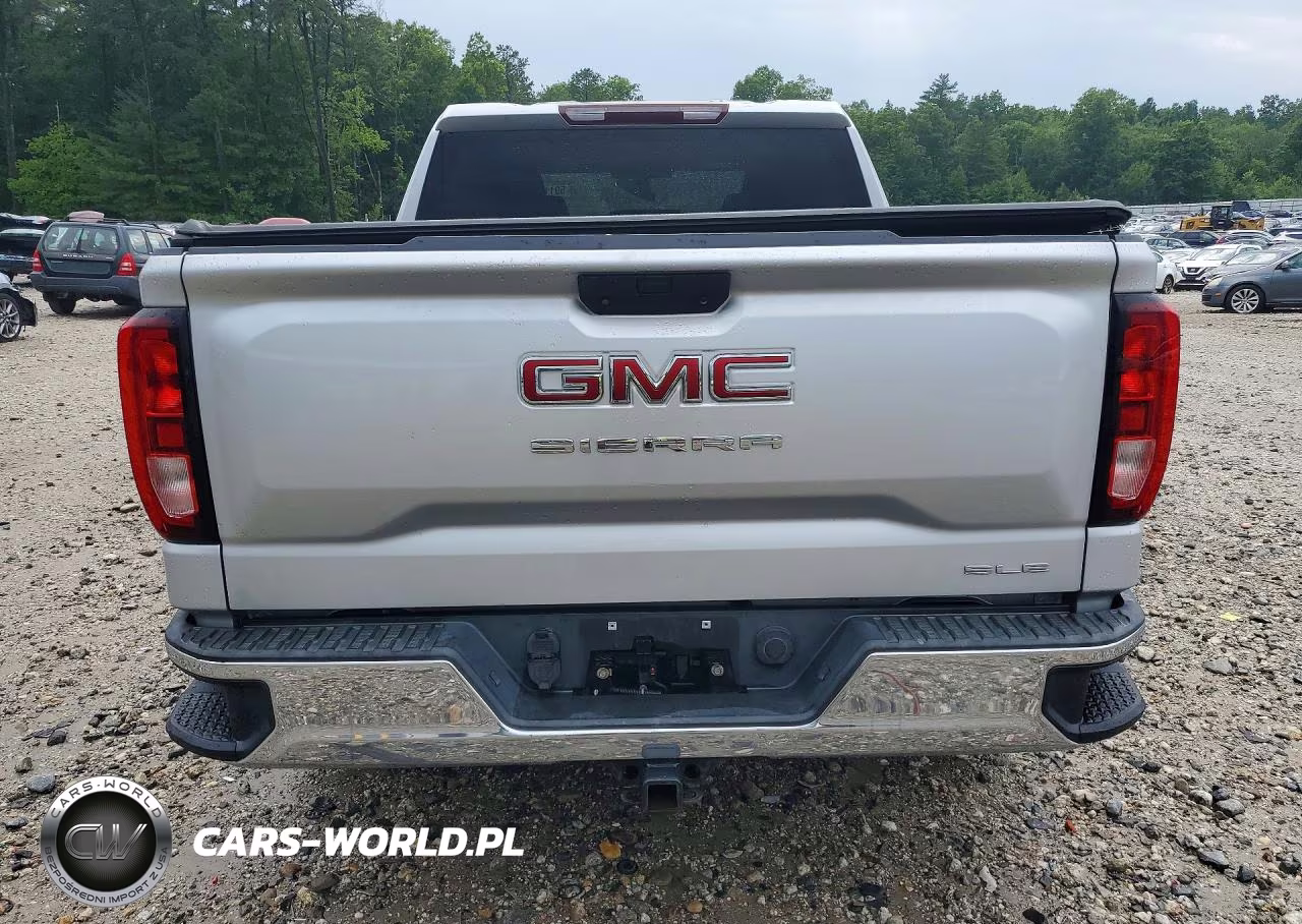 2019 GMC Sierra K1500 Sle VIN:1GTU9BED0KZ401299 - 6