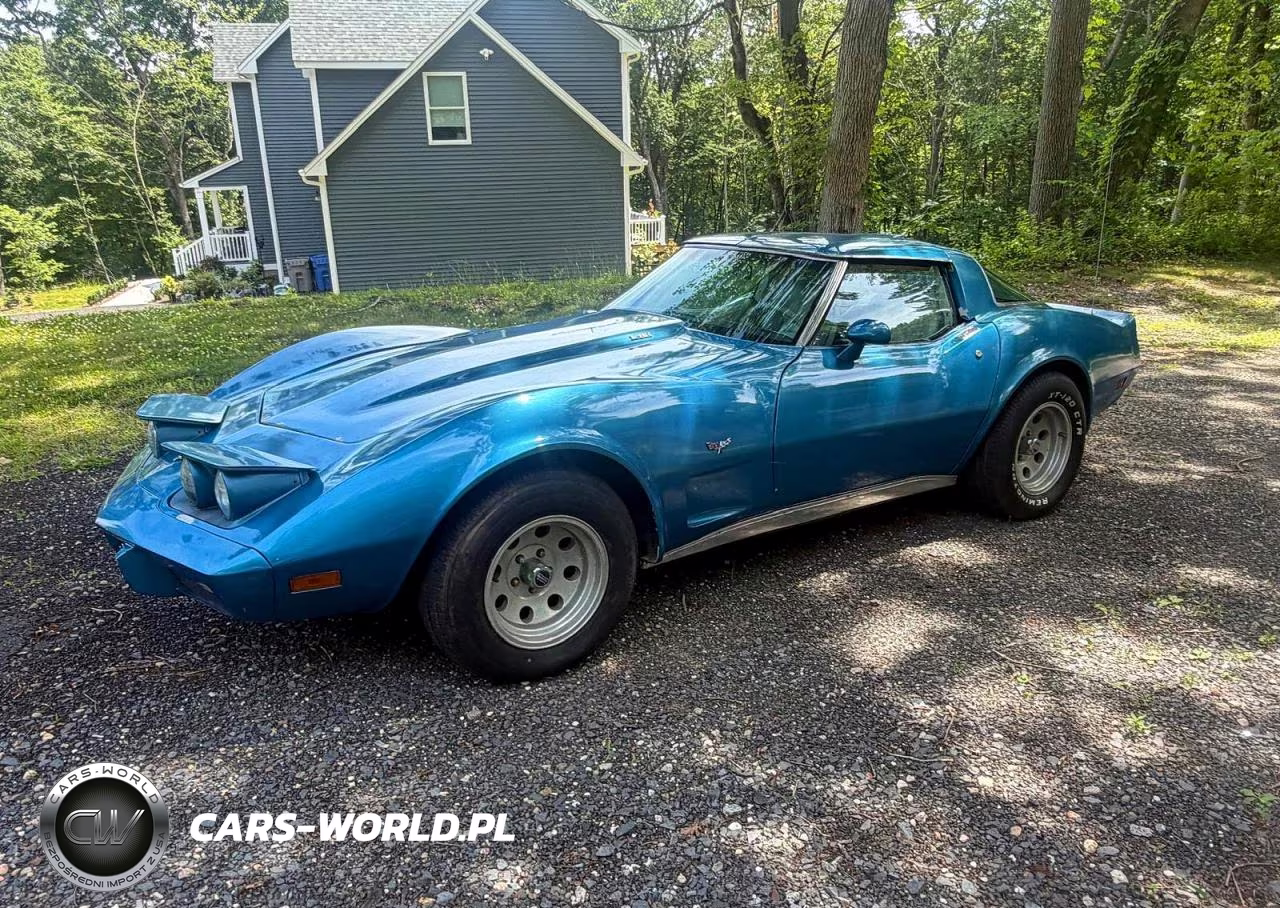 1979 Chevrolet Corvette Stingray – zdjęcie 1 z 14