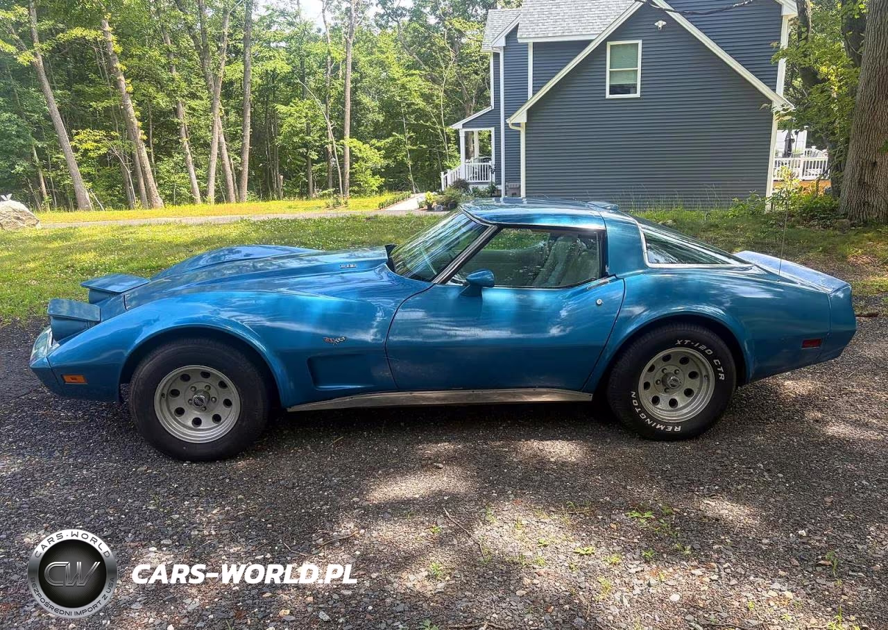 1979 Chevrolet Corvette Stingray VIN:1Z8749S437854 - 11