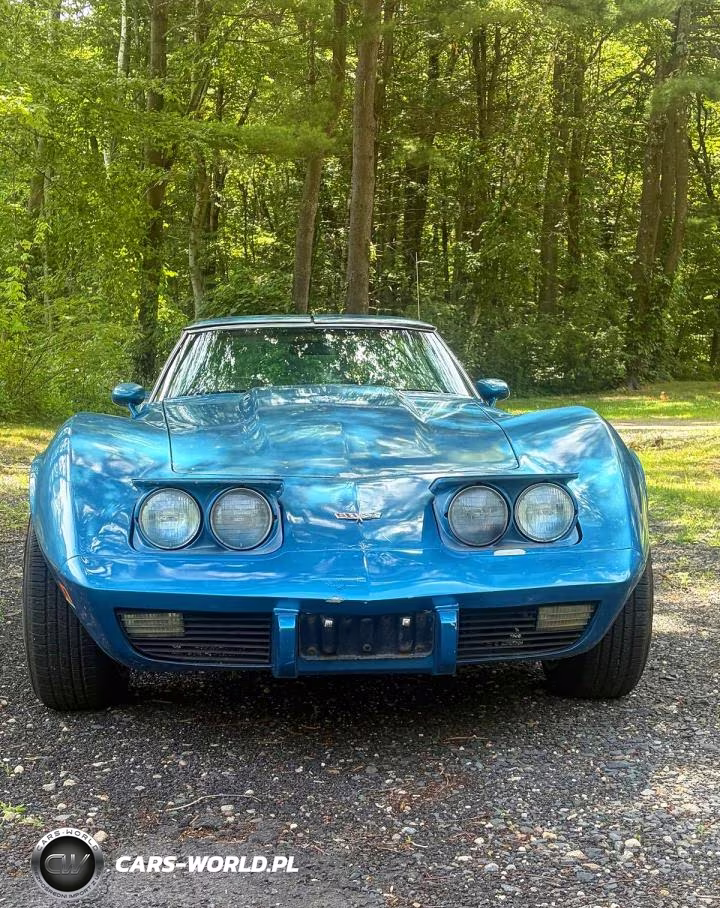 1979 Chevrolet Corvette Stingray VIN:1Z8749S437854 - 5