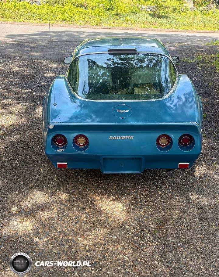 1979 Chevrolet Corvette Stingray VIN:1Z8749S437854 - 6