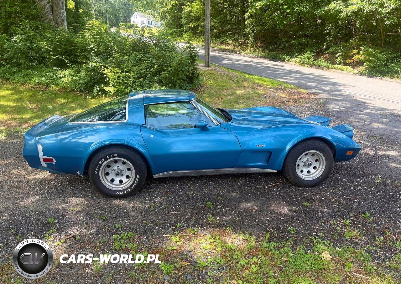1979 Chevrolet Corvette Stingray VIN:1Z8749S437854 - 8