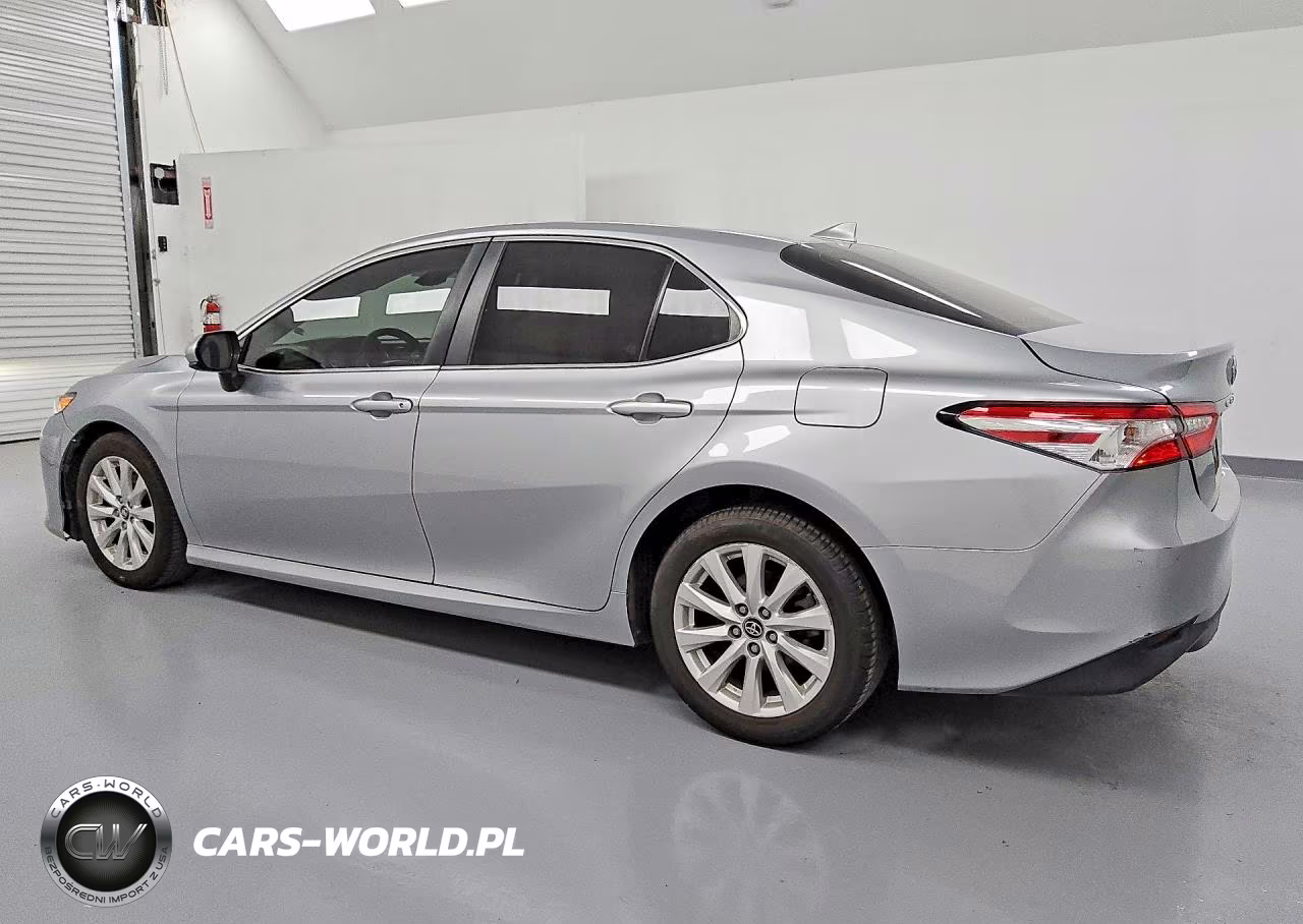 2020 Toyota Camry Le VIN:4T1C11AK6LU884700 - 2