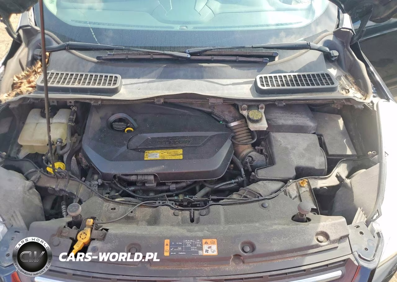 2014 Ford Escape Se VIN:1FMCU0GX8EUC91394 - 12
