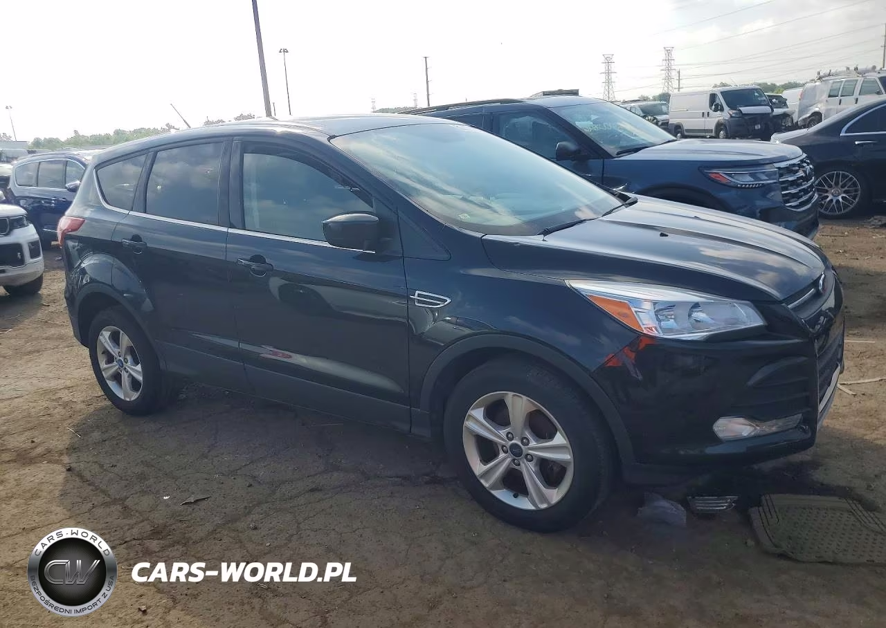 2014 Ford Escape Se VIN:1FMCU0GX8EUC91394 - 4