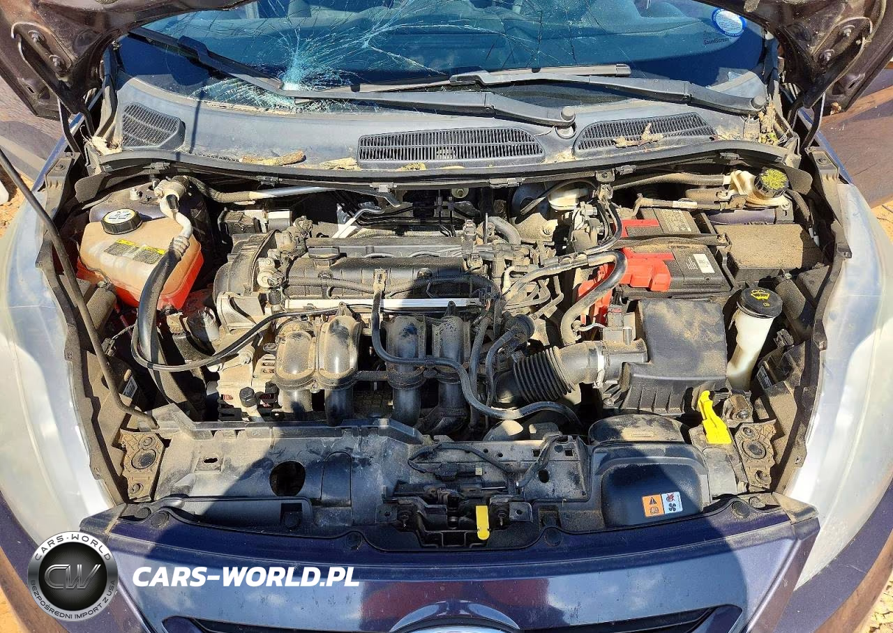 2013 Ford Fiesta Se VIN:3FADP4EJ7DM217625 - 11