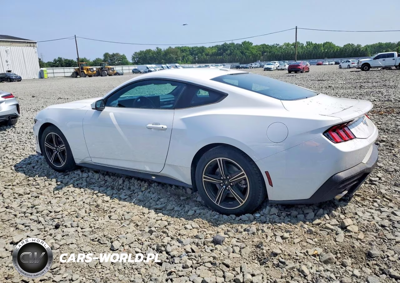 2025 Ford Mustang VIN:1FA6P8TH4S5113936 - 2