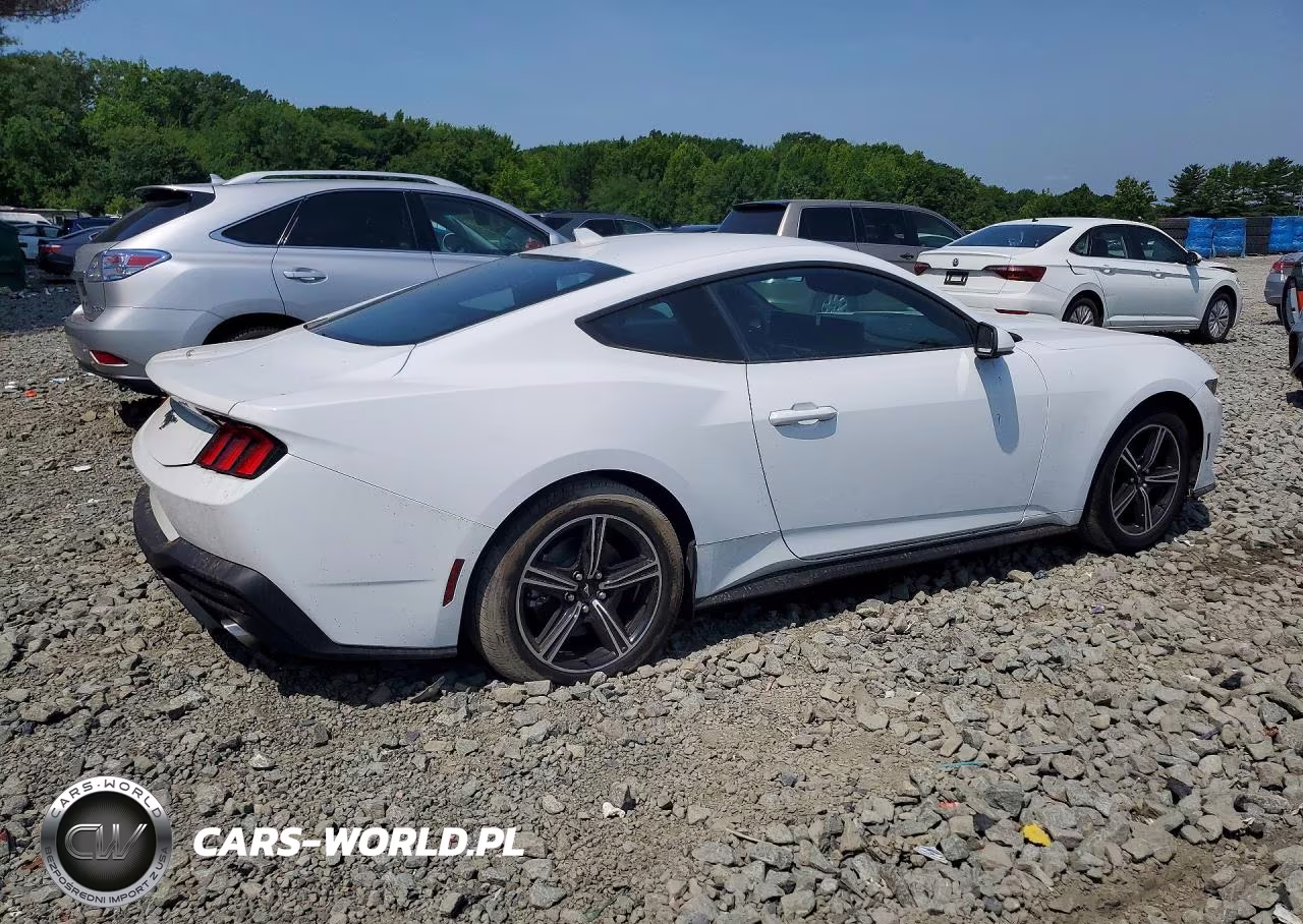 2025 Ford Mustang VIN:1FA6P8TH4S5113936 - 3