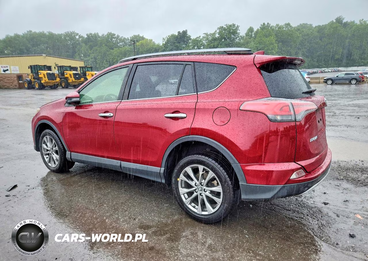 2018 Toyota Rav4 Limited VIN:JTMDFREV2JD256787 - 2