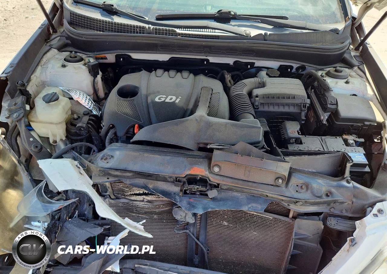 2014 Hyundai Sonata Gls VIN:5NPEB4AC5EH828426 - 11