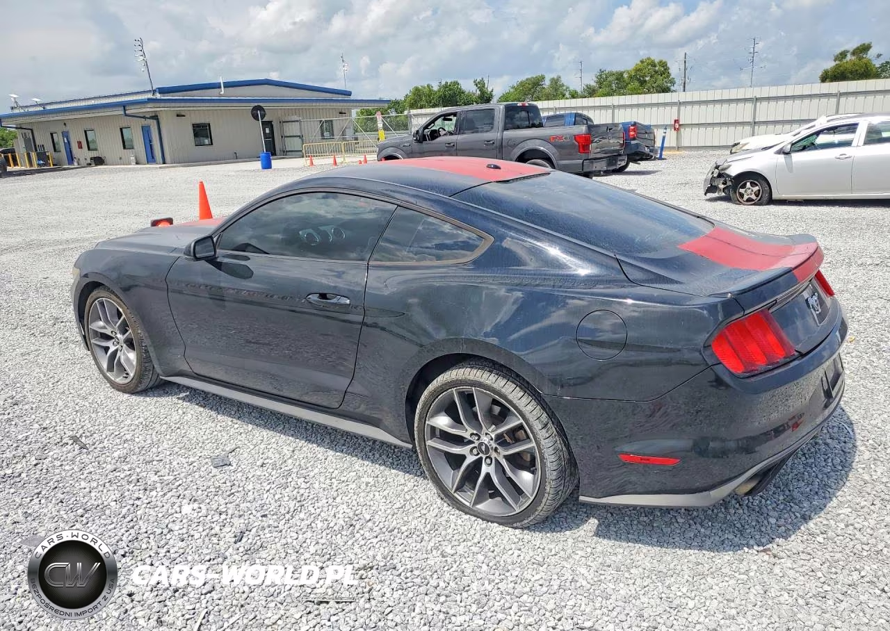 2016 Ford Mustang VIN:1FA6P8TH5G5294505 - 2