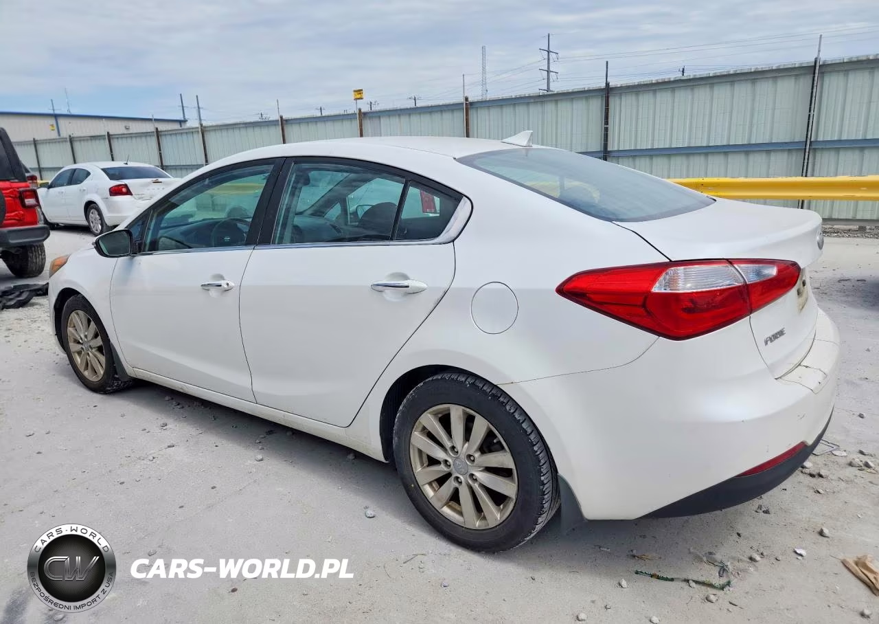 2014 Kia Forte Ex VIN:KNAFX4A81E5119832 - 2