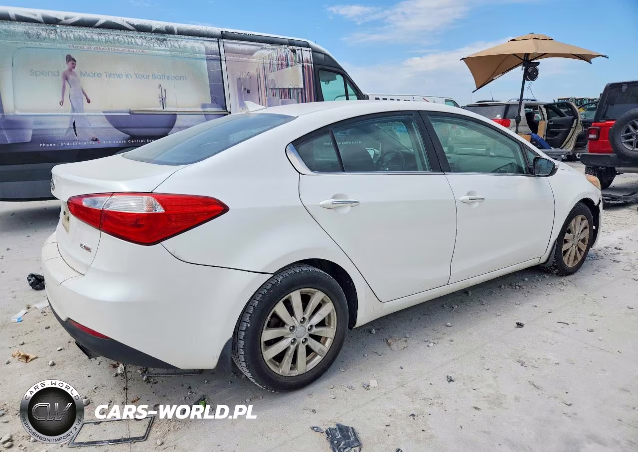 2014 Kia Forte Ex VIN:KNAFX4A81E5119832 - 3