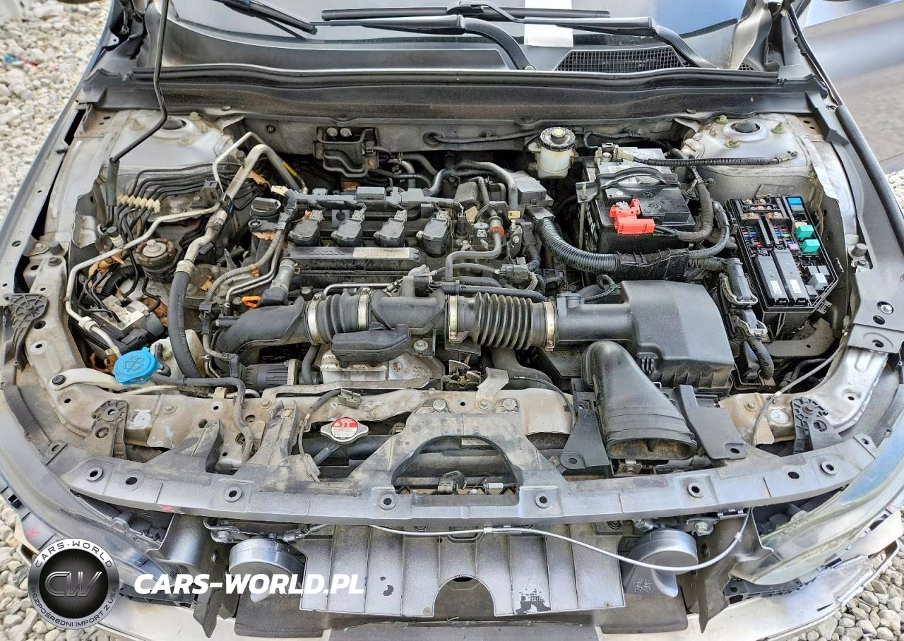 2019 Honda Accord Lx VIN:1HGCV1F14KA061192 - 11