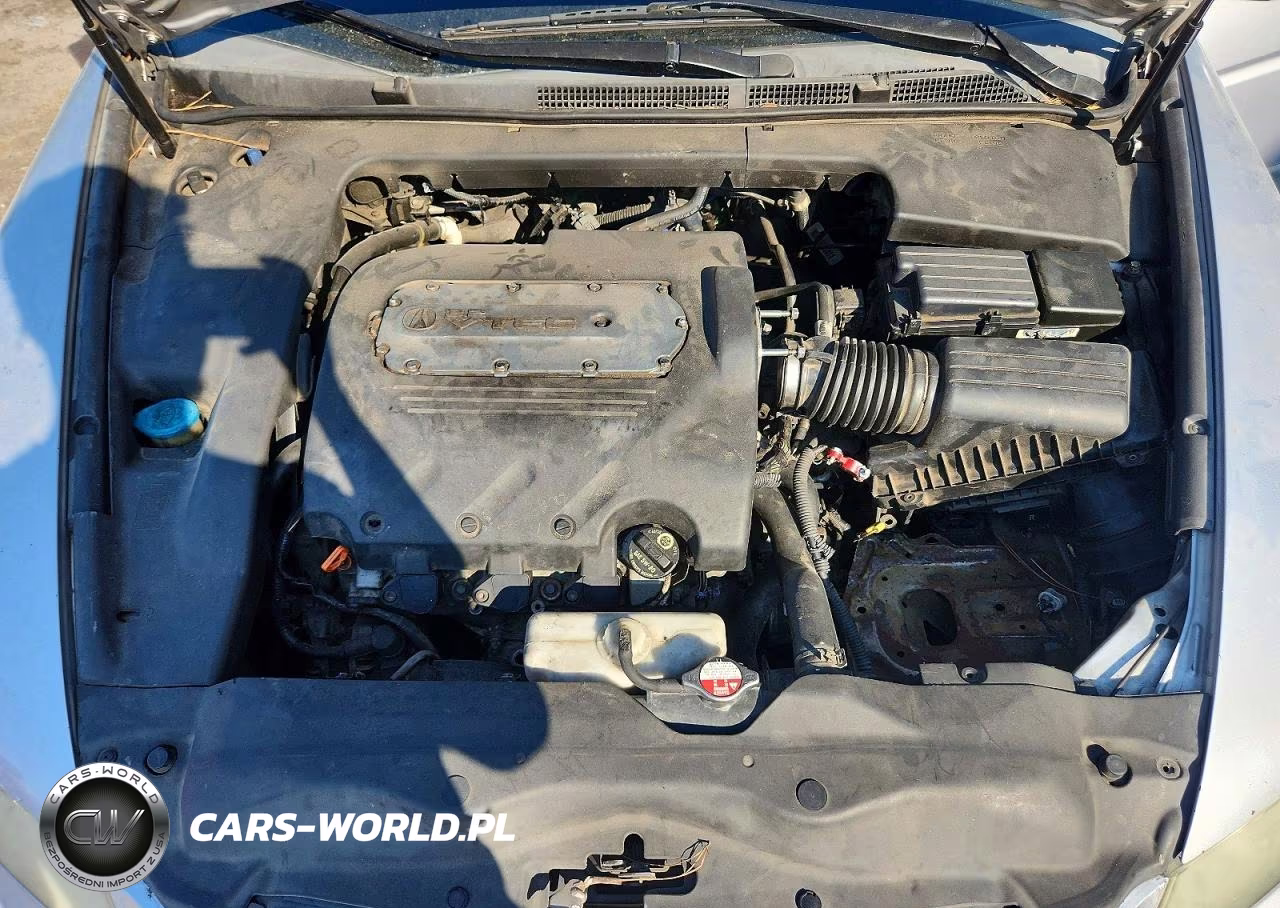 2005 Acura Tl VIN:19UUA66215A030279 - 11