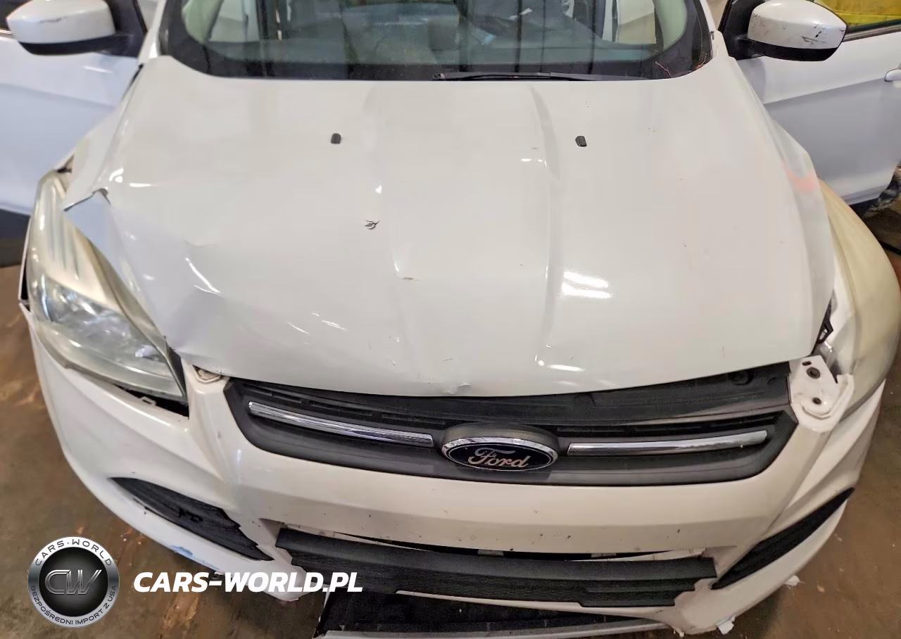 2014 Ford Escape Se VIN:1FMCU0GX5EUC47708 - 12