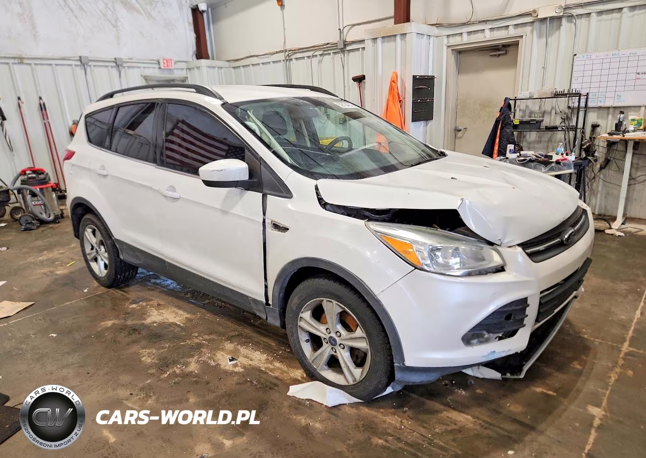 2014 Ford Escape Se VIN:1FMCU0GX5EUC47708 - 4