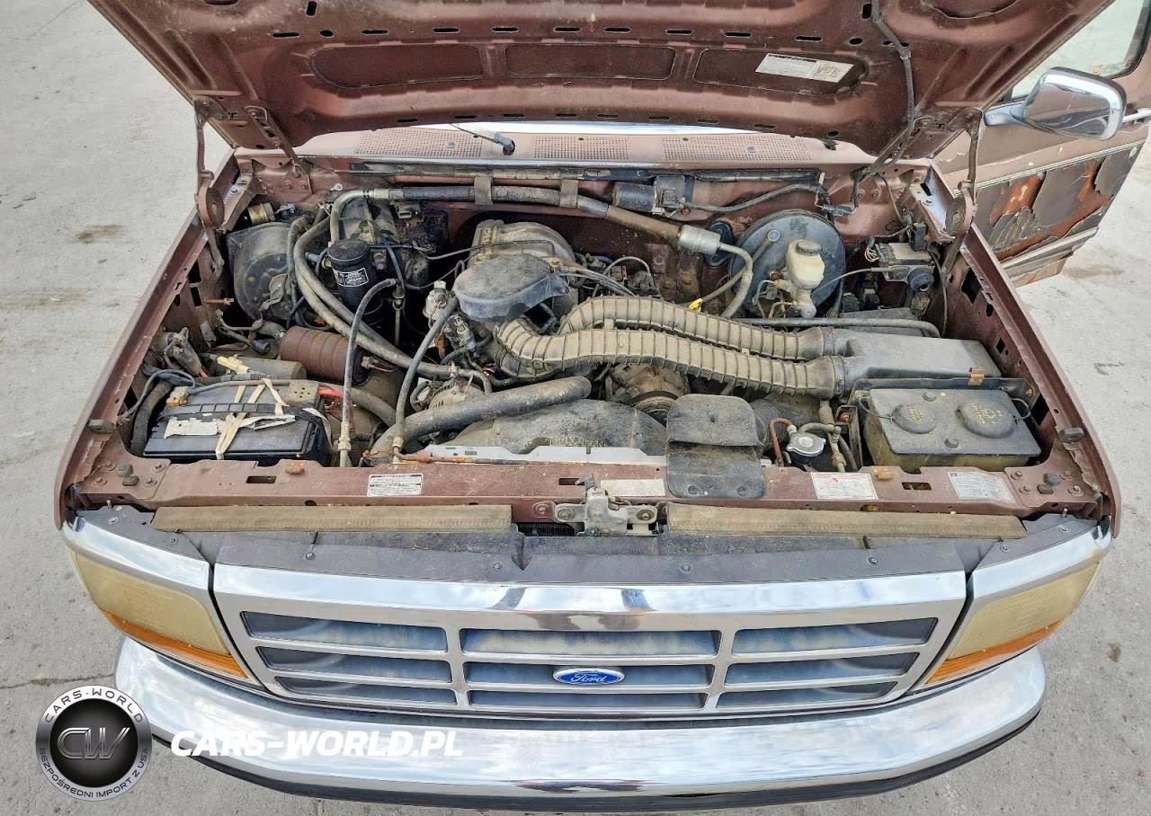 1993 Ford F150 VIN:1FTEF14NXPNA56931 - 11