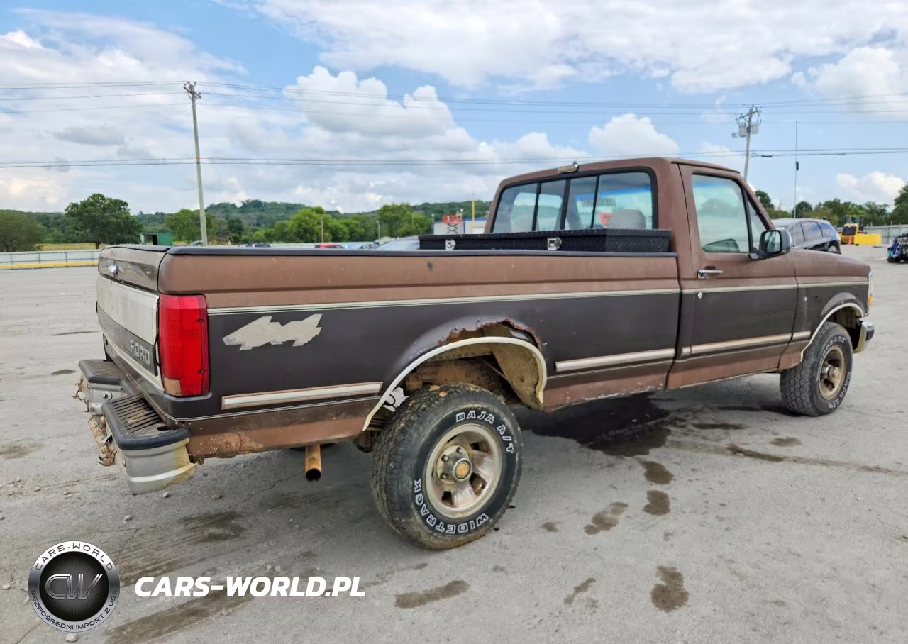 1993 Ford F150 VIN:1FTEF14NXPNA56931 - 3