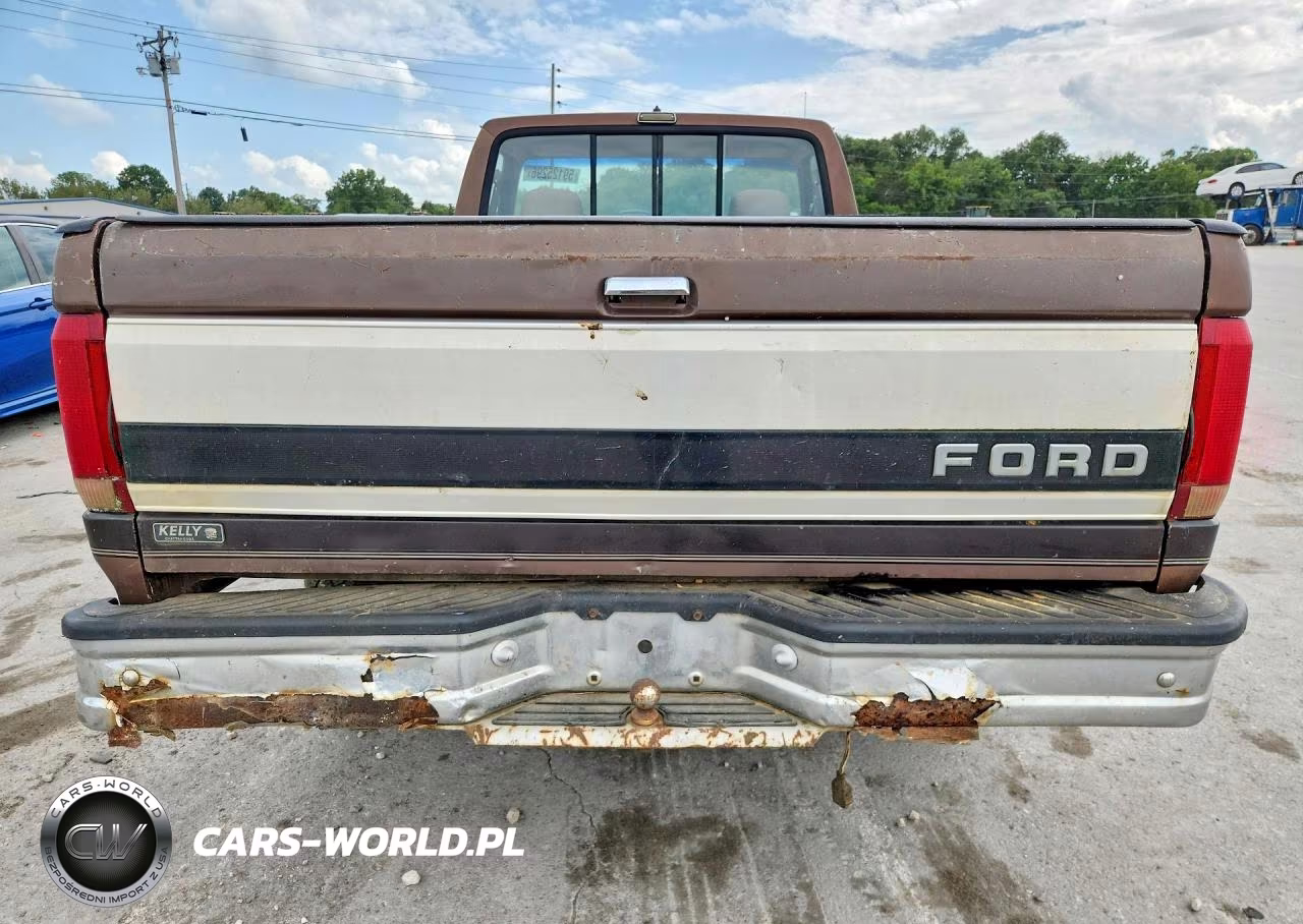 1993 Ford F150 VIN:1FTEF14NXPNA56931 - 6