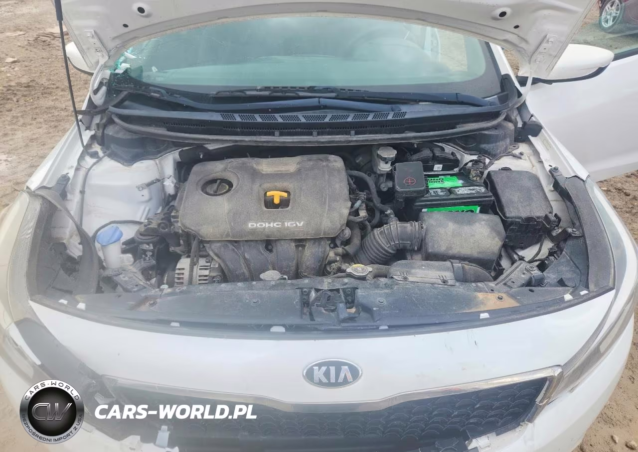 2017 Kia Forte Lx VIN:3KPFL4A79HE008489 - 11