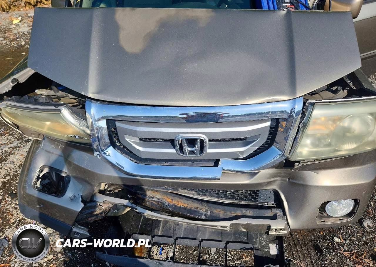 2009 Honda Pilot Exl VIN:5FNYF485X9B019128 - 12