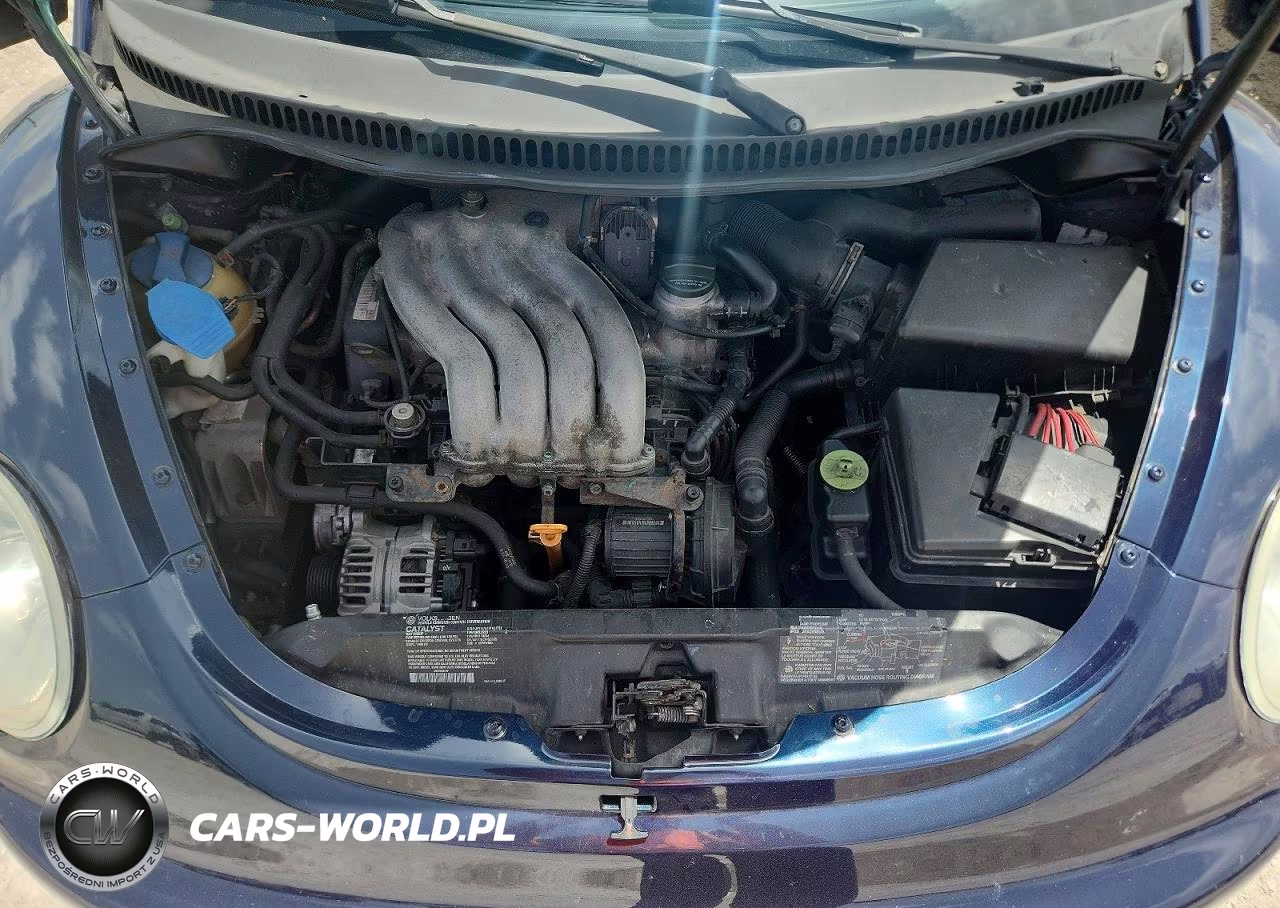 2001 Volkswagen New Beetle Gls VIN:3VWCK21C11M421765 - 11