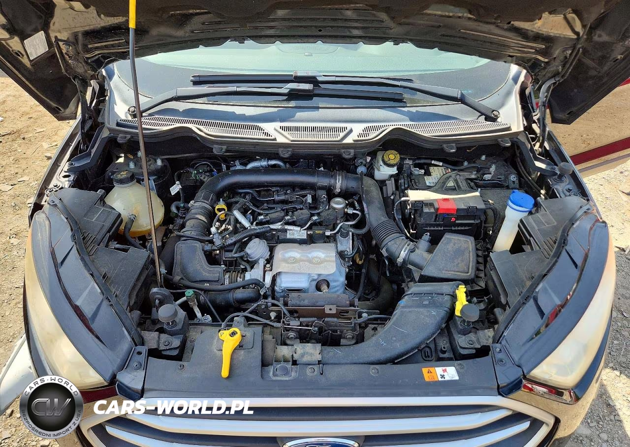 2019 Ford Ecosport Se VIN:MAJ3S2GEXKC255329 - 12