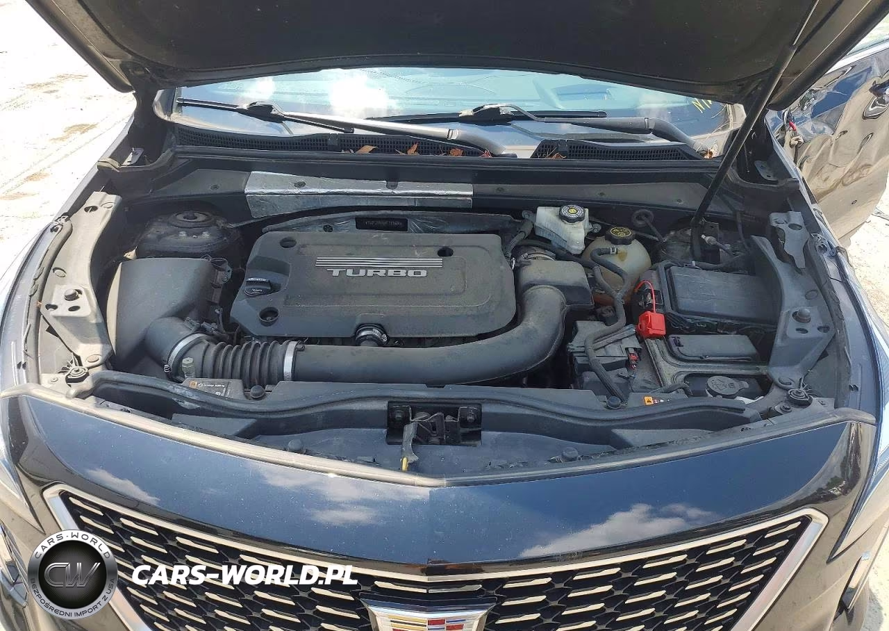 2019 Cadillac Xt4 Premium Luxury VIN:1GYFZDR46KF113524 - 12