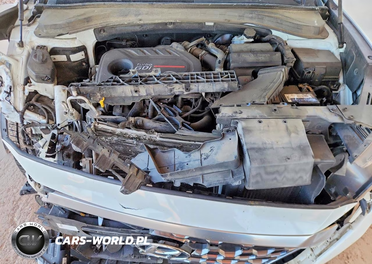 2019 Hyundai Santa Fe Limited 2.0T VIN:5NMS53AA5KH128594 - 12
