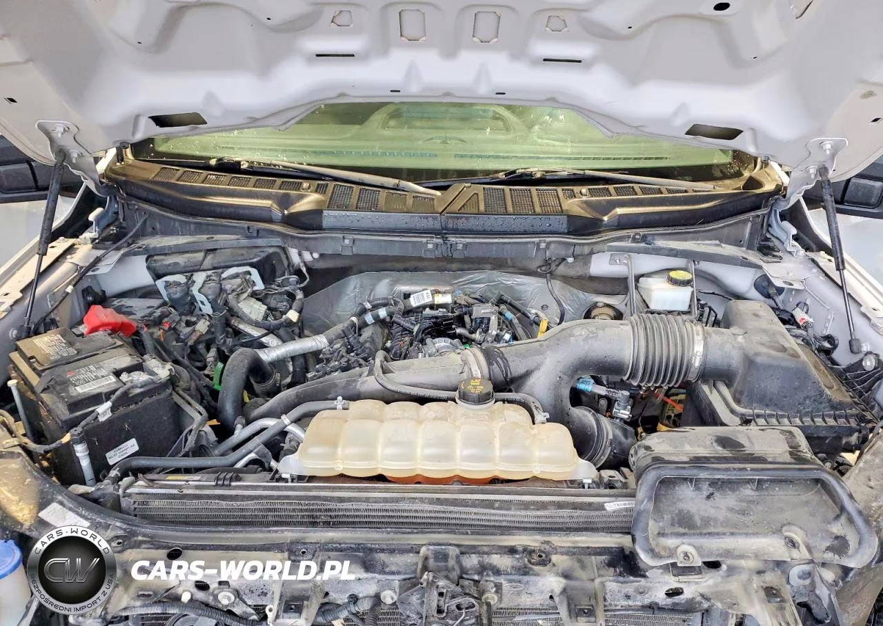 2021 Ford F150 Supercrew VIN:1FTEW1EP4MKE91070 - 11