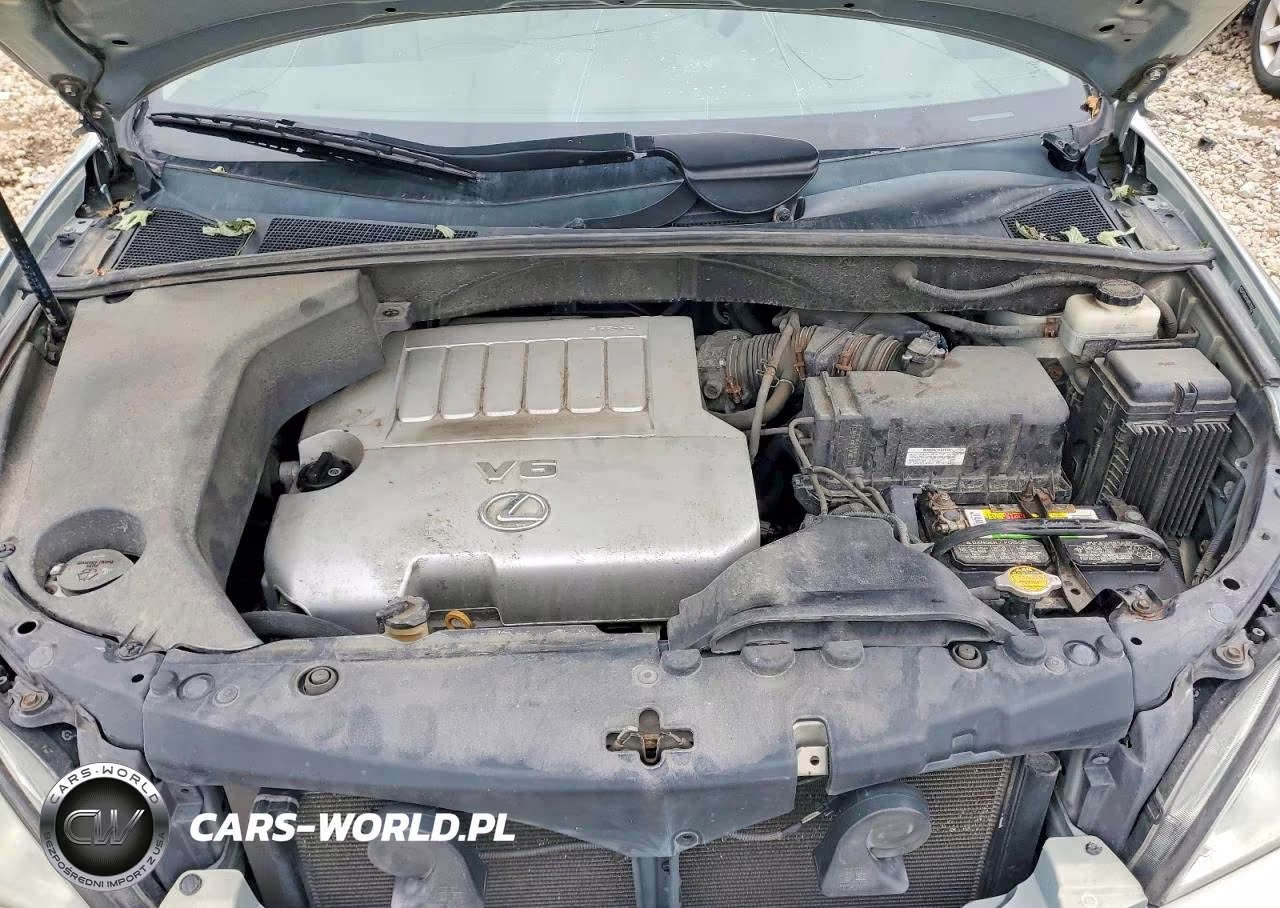 2009 Lexus Rx 350 VIN:2T2HK31UX9C132231 - 11