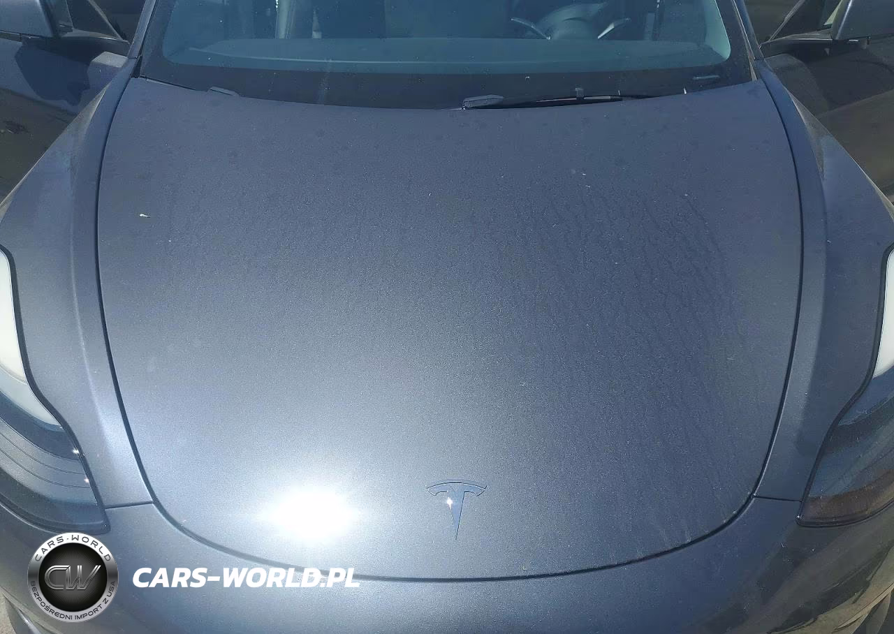 2023 Tesla Model 3 VIN:5YJ3E1EA5PF674663 - 11