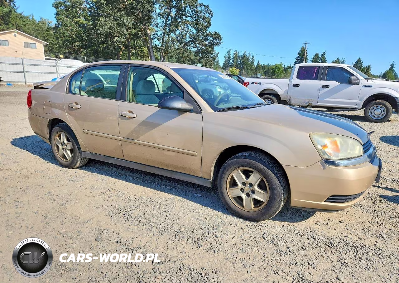 2005 Chevrolet Malibu Ls VIN:1G1ZT528X5F268551 - 4