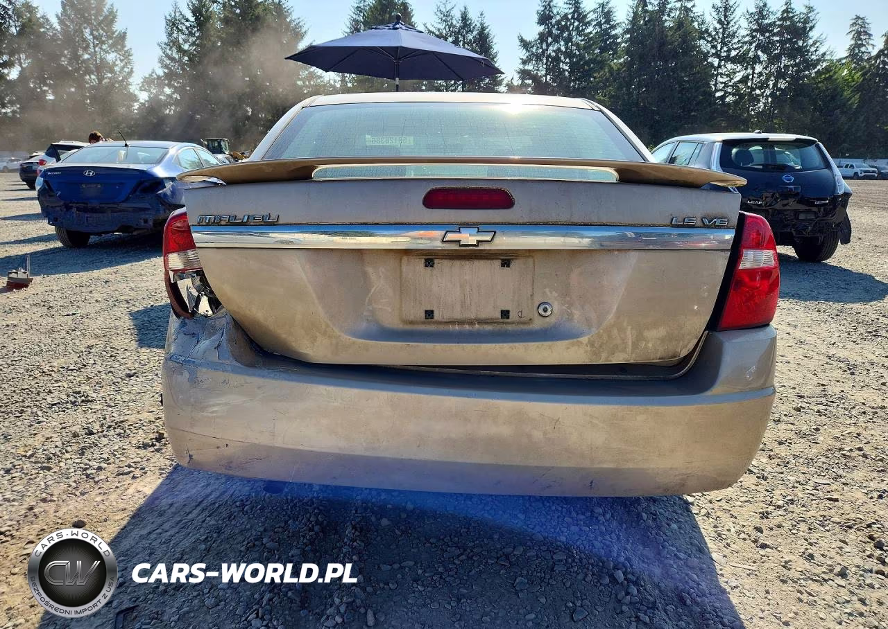 2005 Chevrolet Malibu Ls VIN:1G1ZT528X5F268551 - 6