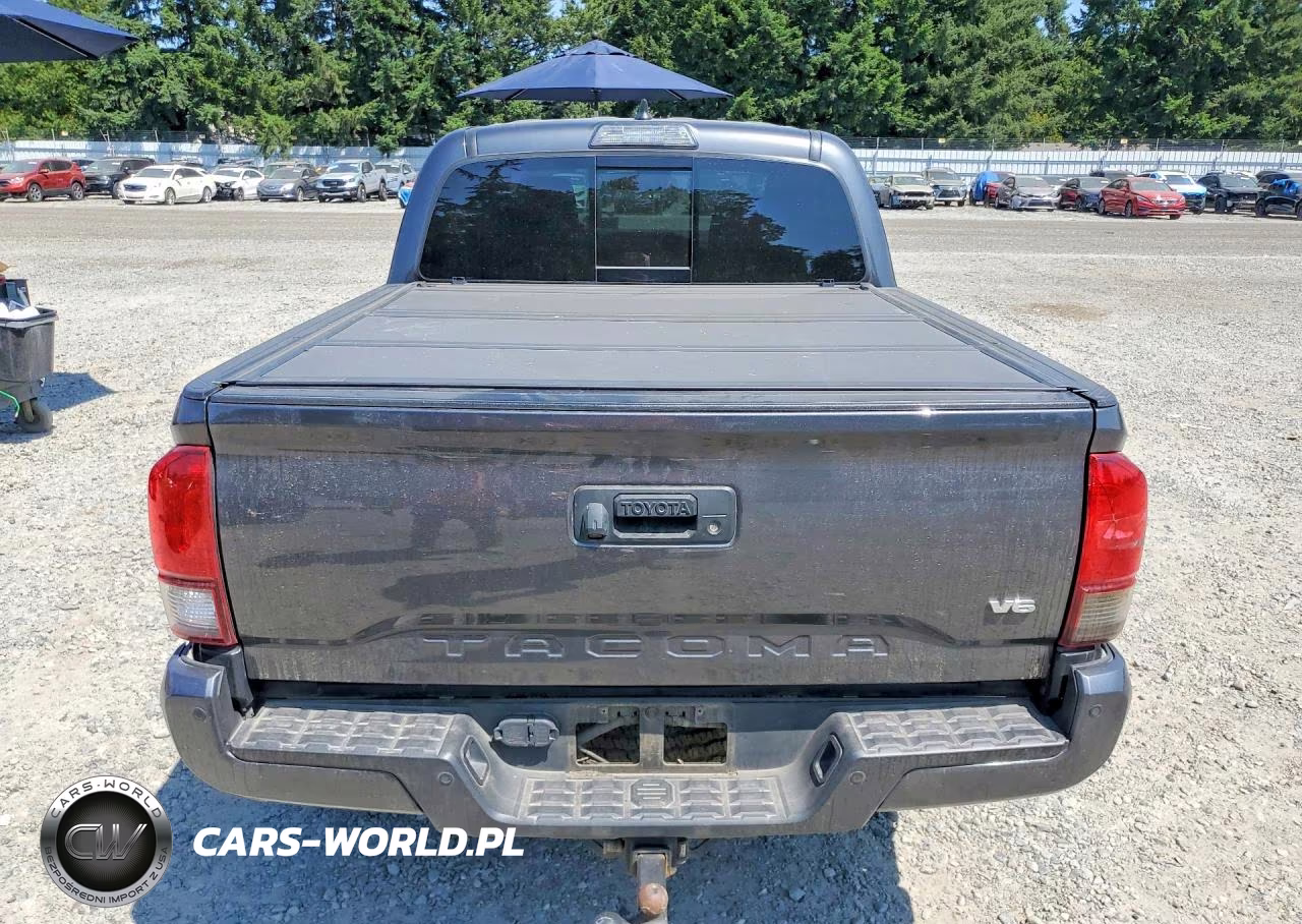 2019 Toyota Tacoma Trd Off-Road VIN:3TMCZ5AN6KM279822 - 6