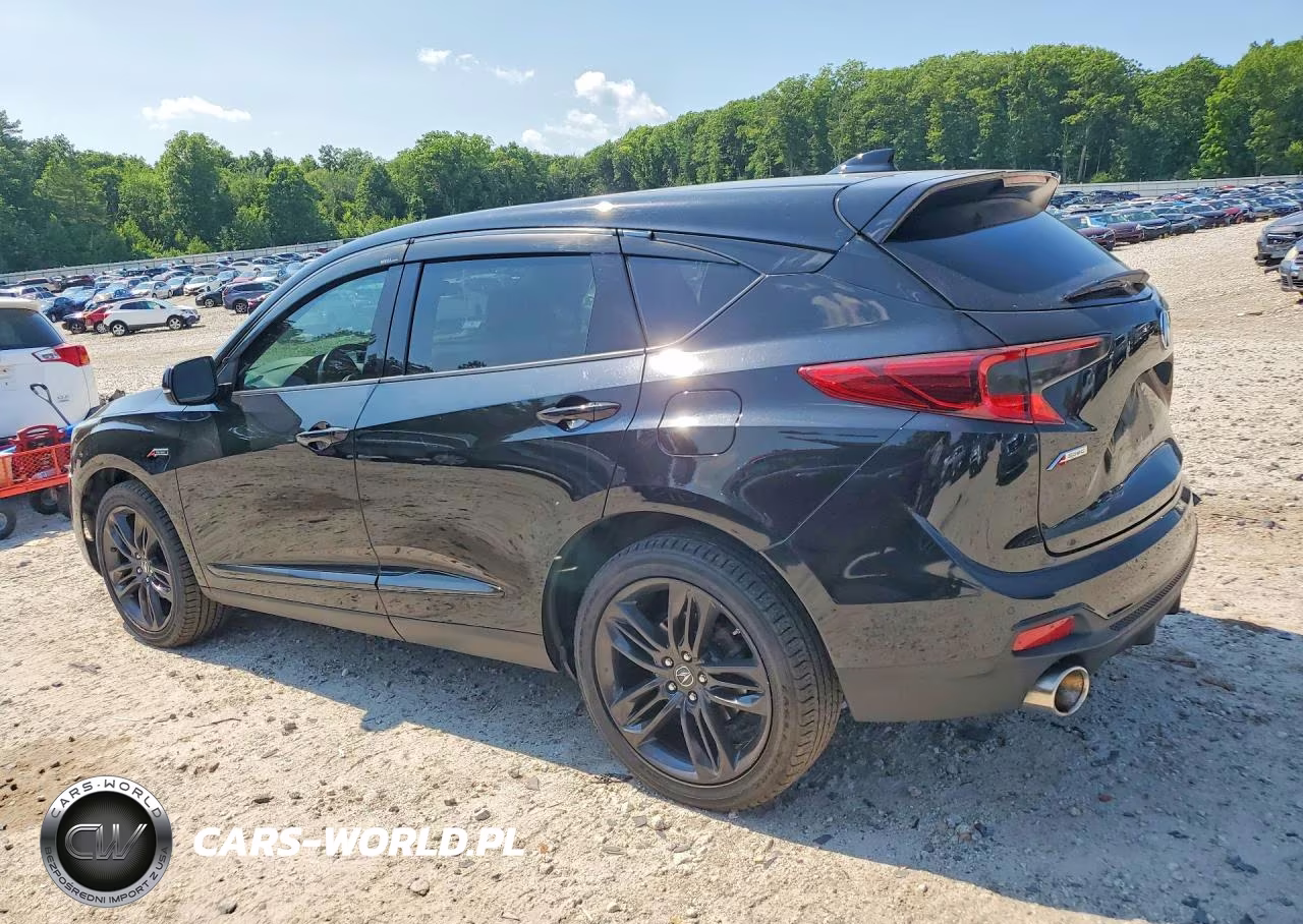 2019 Acura Rdx A-Spec VIN:5J8TC2H69KL014698 - 2
