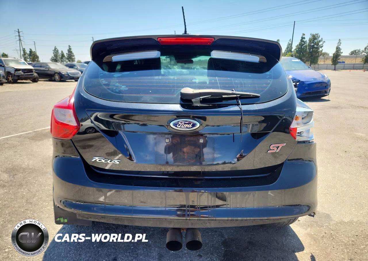 2014 Ford Focus St VIN:1FADP3L97EL350066 - 6