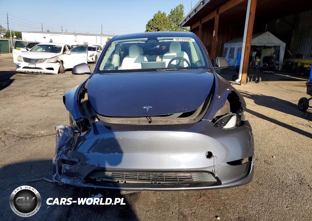 2023 Tesla Model Y VIN:7SAYGDEE8PF783884 - 5