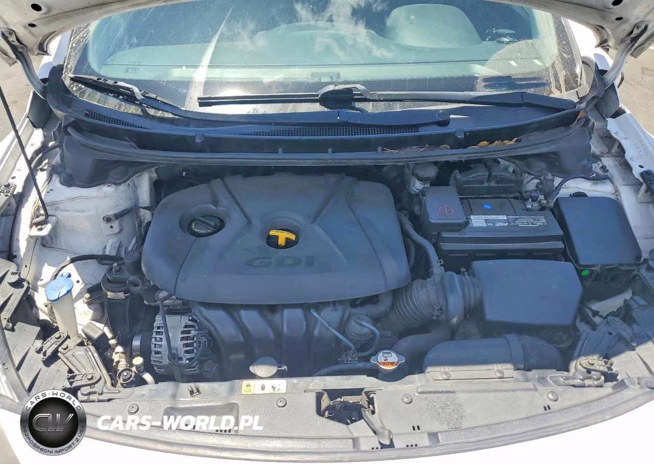 2014 Hyundai Elantra Gt Base VIN:KMHD35LH7EU185974 - 11