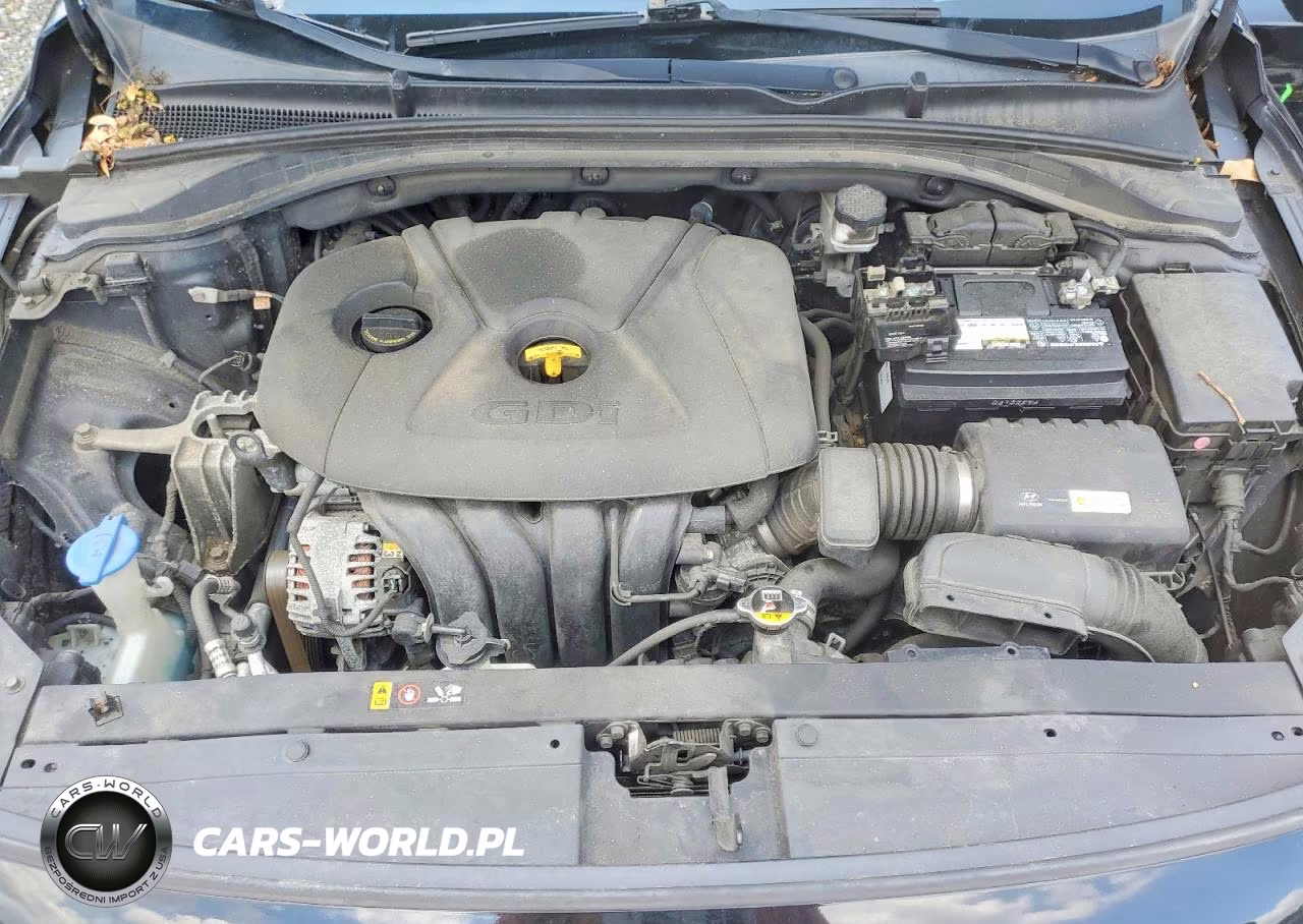 2018 Hyundai Elantra Gt Base VIN:KMHH35LE1JU071583 - 11