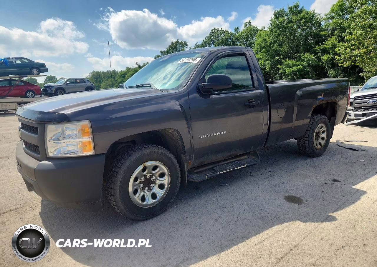2010 Chevrolet Silverado C1500