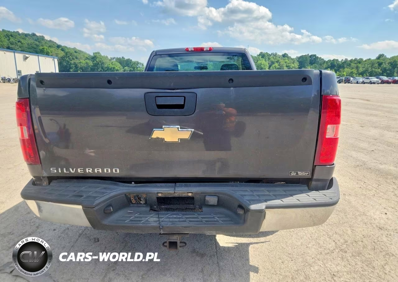2010 Chevrolet Silverado C1500 VIN:1GCPCPEXXAZ260388 - 10
