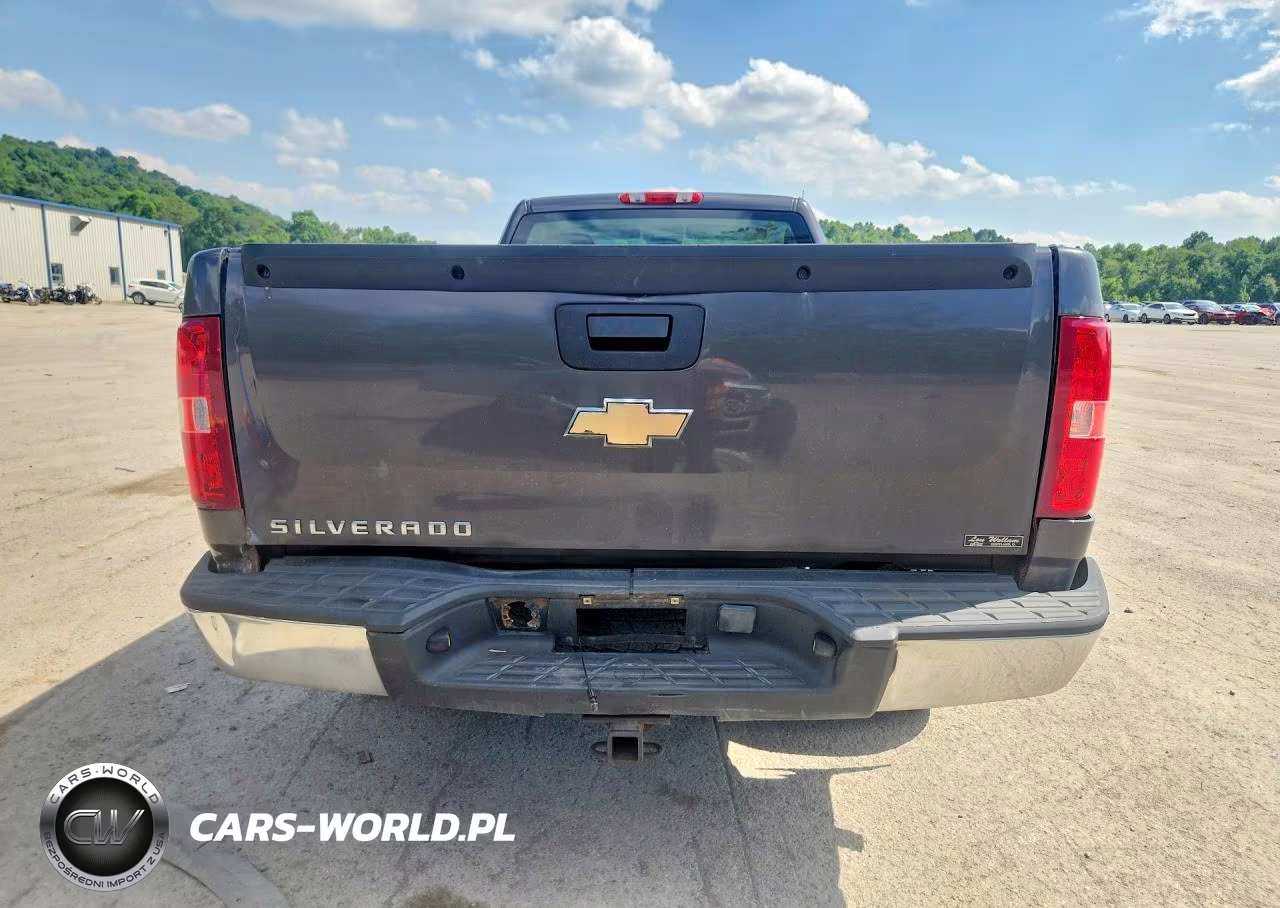 2010 Chevrolet Silverado C1500 VIN:1GCPCPEXXAZ260388 - 6
