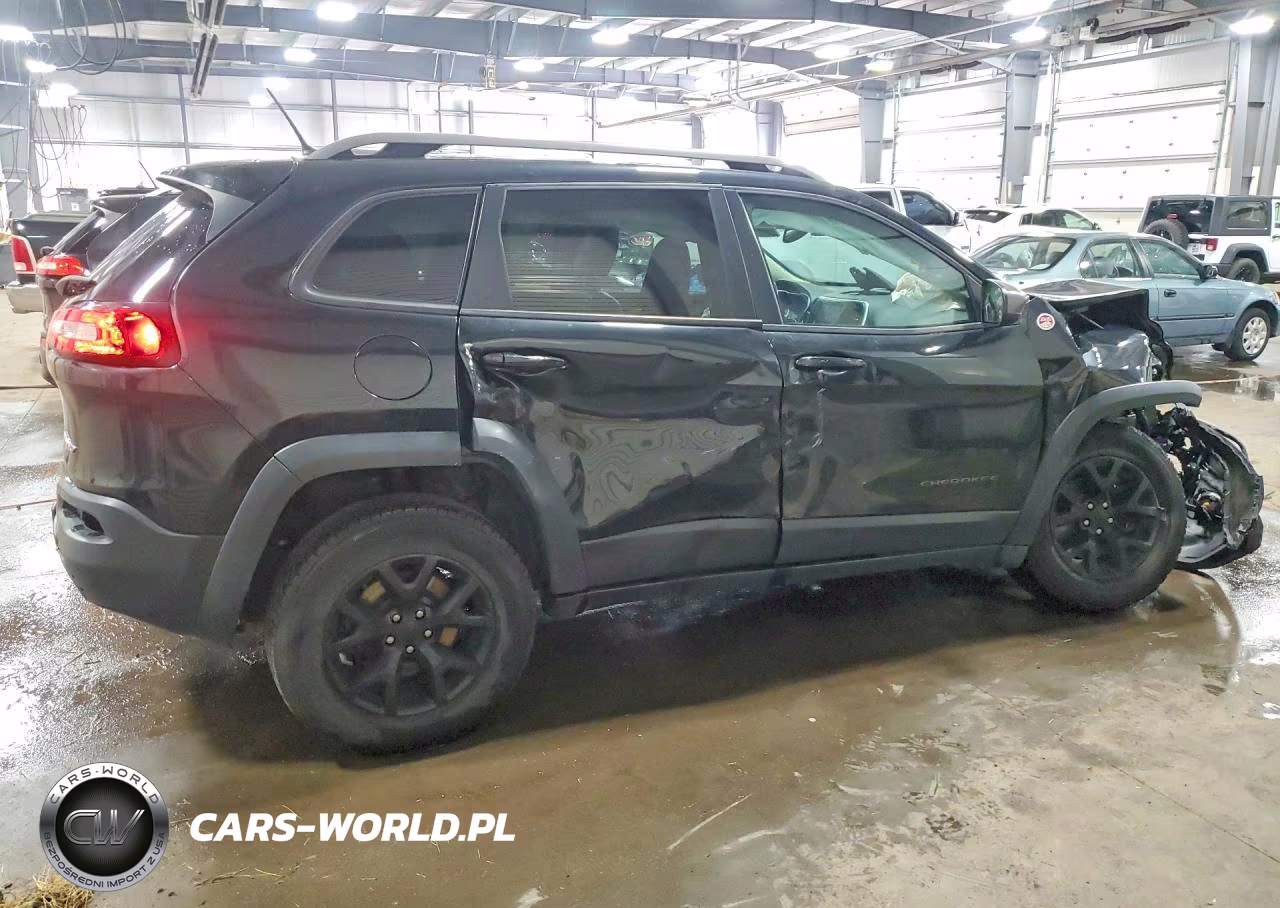 2014 Jeep Cherokee Trailhawk VIN:1C4PJMBS8EW257624 - 3