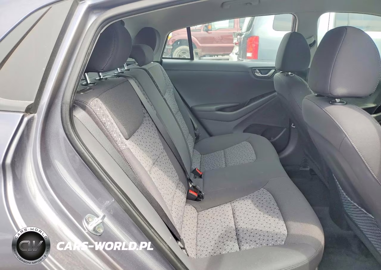 2019 Hyundai Ioniq Hybrid Blue VIN:KMHC65LC7KU114597 - 10
