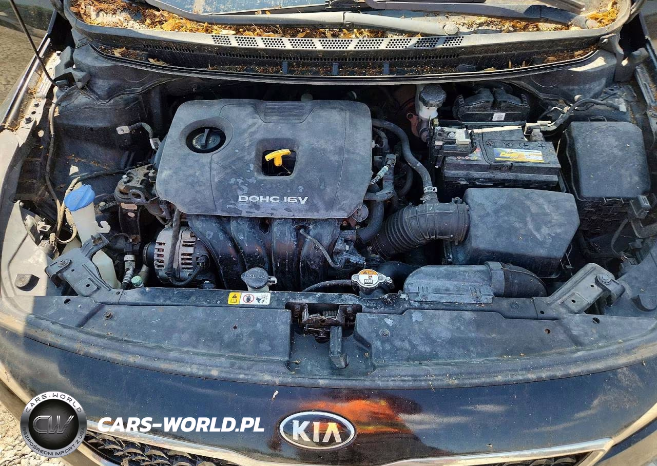 2017 Kia Forte Lx VIN:3KPFK4A71HE049489 - 11