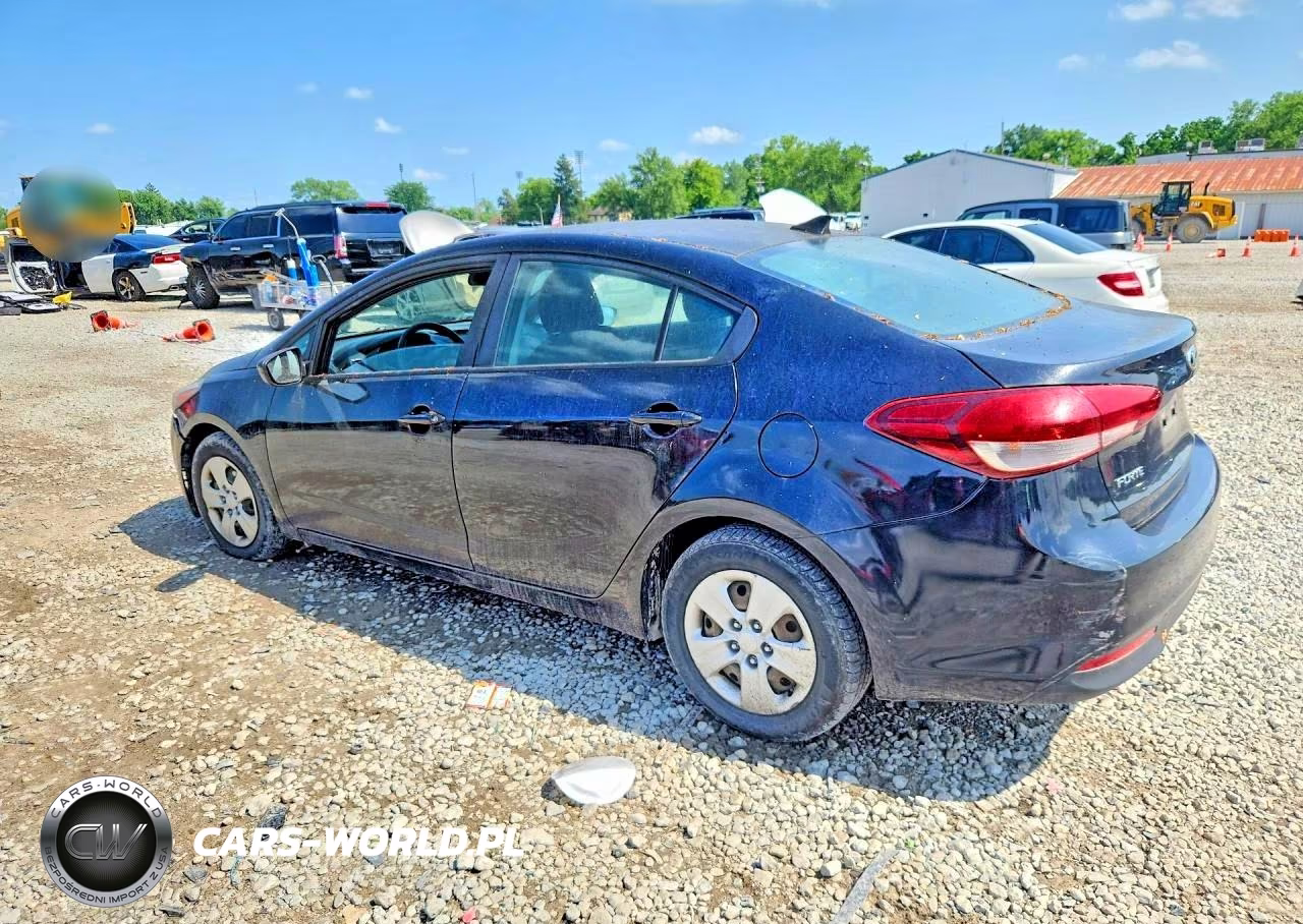 2017 Kia Forte Lx VIN:3KPFK4A71HE049489 - 2