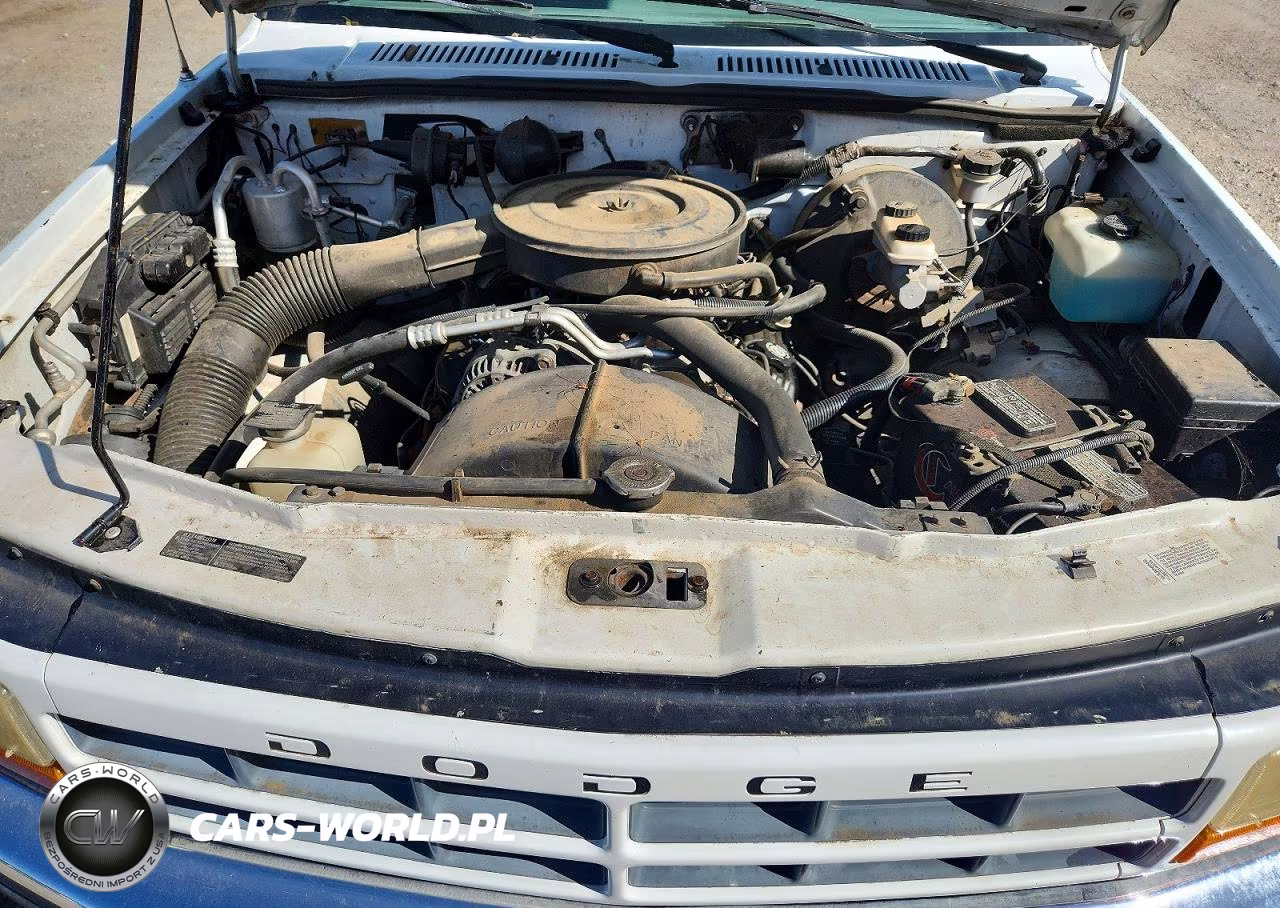 1994 Dodge Dakota VIN:1B7GG23X6RW113007 - 11